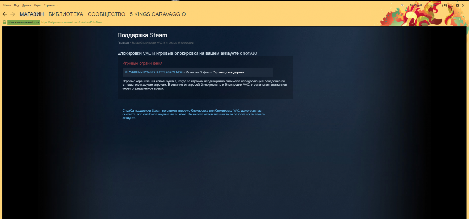 Steam в украине заблокирован или нет фото 57